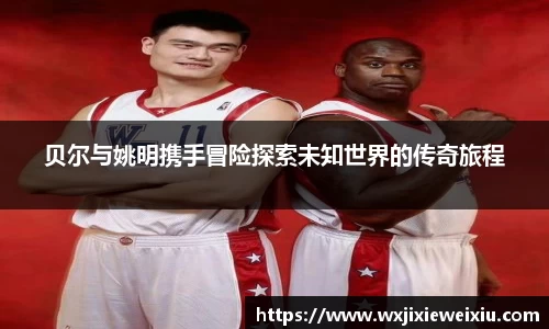 贝尔与姚明携手冒险探索未知世界的传奇旅程