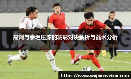 星空综合官网